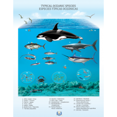Póster de Especies Típicas oceánicas